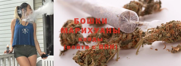 шишки Алзамай