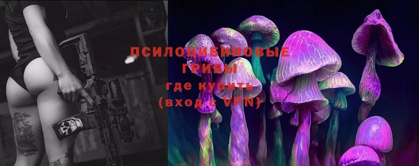 шишки Алзамай