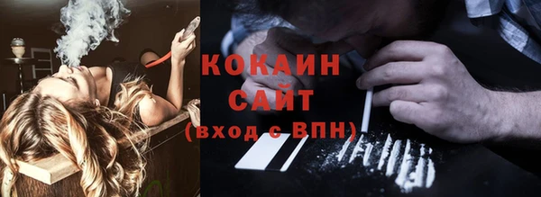 шишки Алзамай