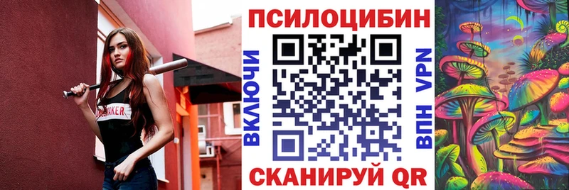 Псилоцибиновые грибы Psilocybine cubensis  блэк спрут ссылка  Игра 